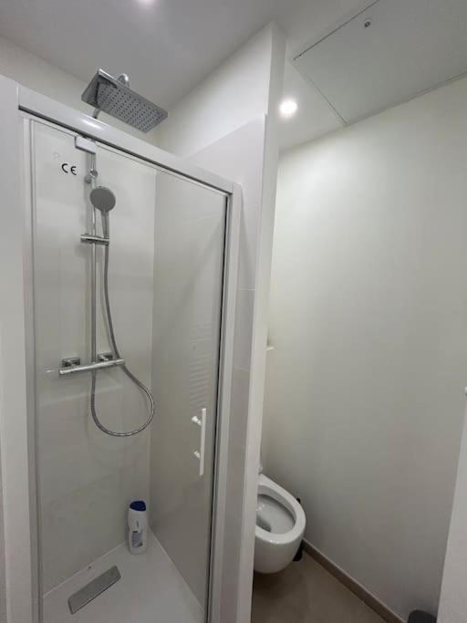 Le Magnifique, Hyper Centre Apartment Toulouse Exterior photo